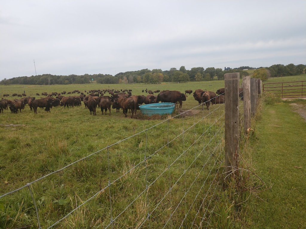 Silver Bison Ranch | Bison Meat For Sale | 1954 50th Ave, Baldwin, WI 54002, USA | Phone: (715) 684-2811