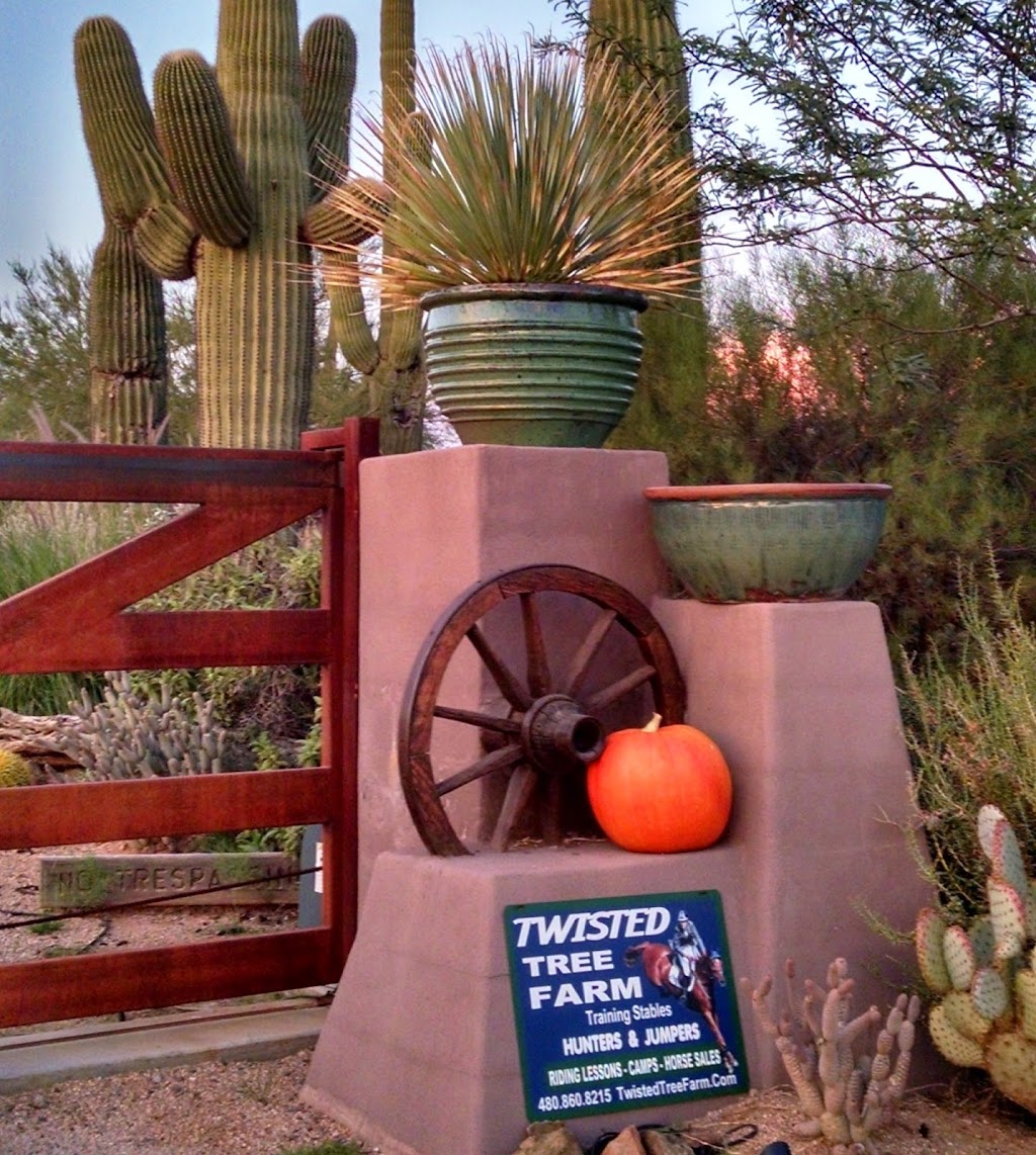 Twisted Tree Farm, Inc, Training Stables | 29001 N Hayden Rd, Scottsdale, AZ 85266, USA | Phone: (480) 860-8215