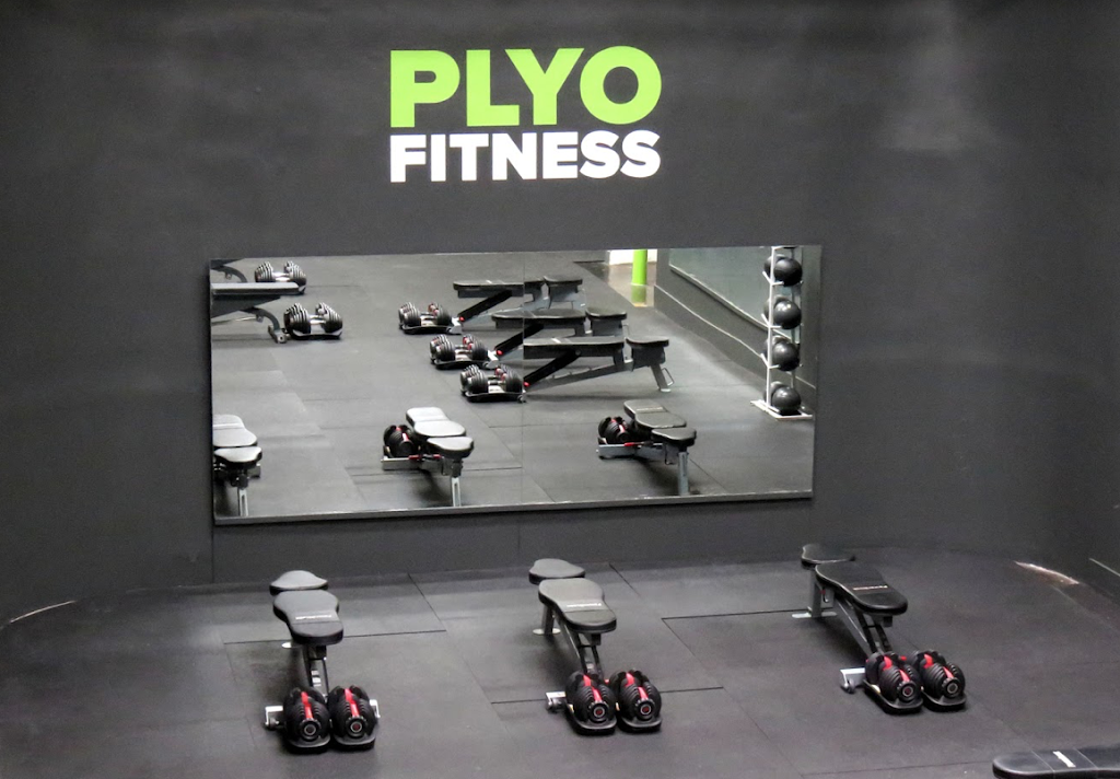 Plyo Fitness | 815 N La Brea Ave, Los Angeles, CA 90038, USA | Phone: (323) 591-0099