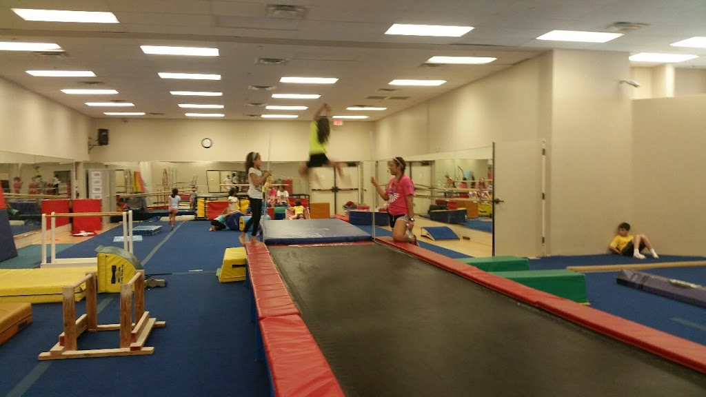 Alamo Gymnastics & Family Center | 16675 Huebner Rd, San Antonio, TX 78248, USA | Phone: (210) 479-8282