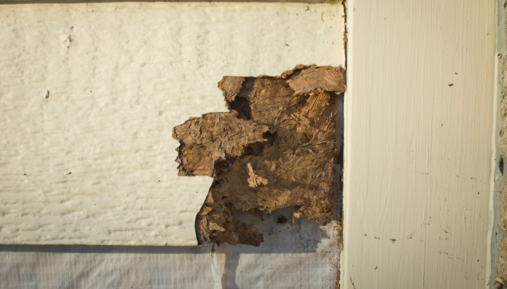 Charm City Termite Removal | 3424 Belair Rd, Baltimore, MD 21213, USA | Phone: (443) 396-3190