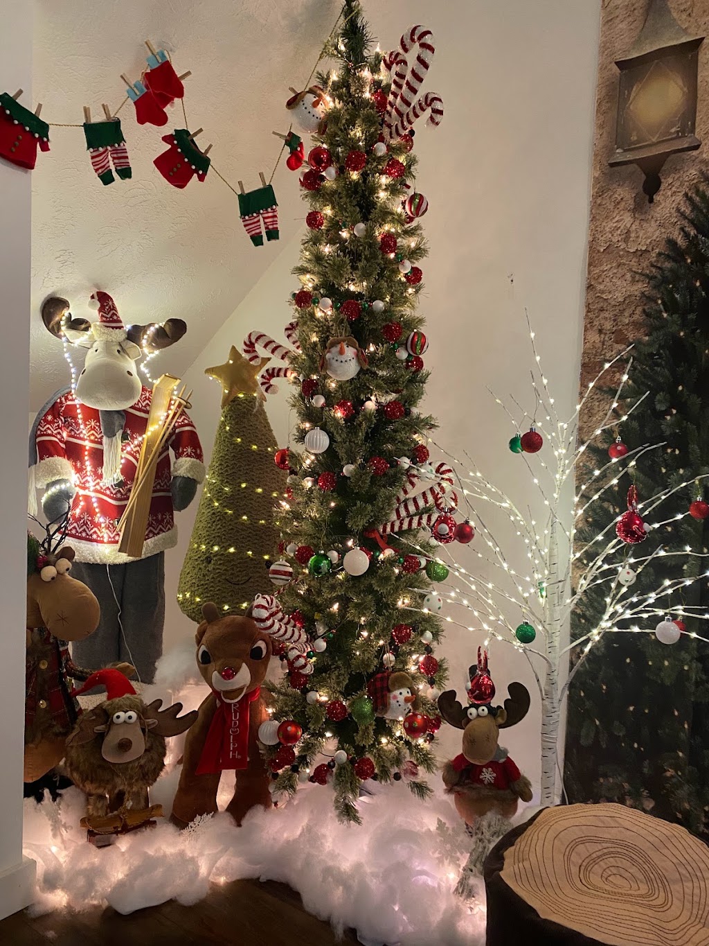 Tadpoles & Tiddlers | 843 N Cleveland Massillon Rd, Akron, OH 44333, USA | Phone: (877) 592-4453