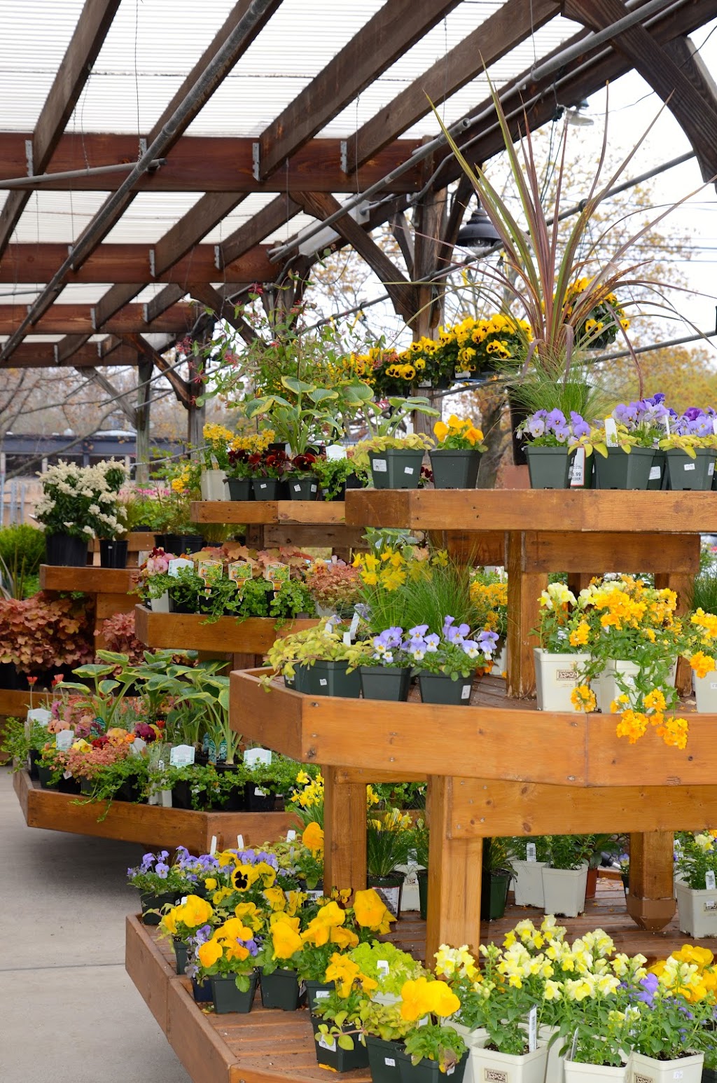 Nielsens Florist & Garden Shop | 1405 Post Rd, Darien, CT 06820, USA | Phone: (203) 655-2541