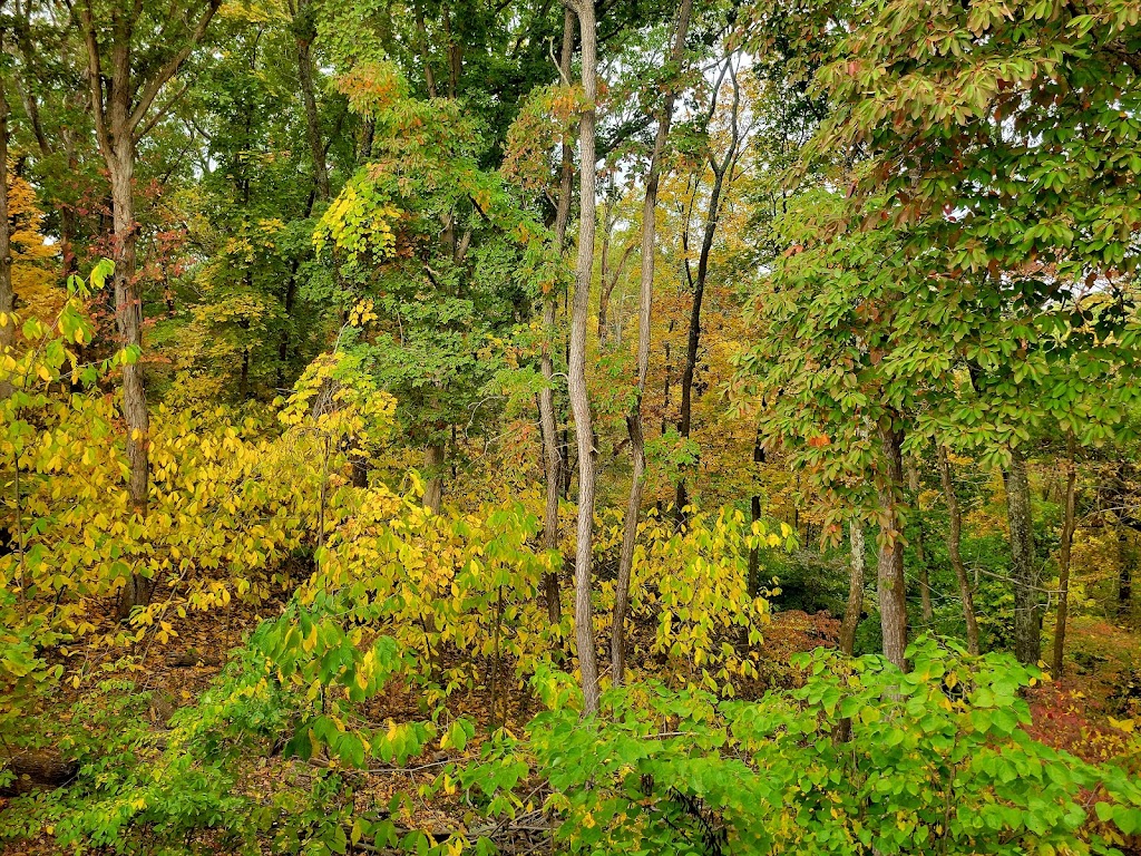 Babler State Park | 800 Guy Park Dr, Wildwood, MO 63005, USA | Phone: (636) 458-3813