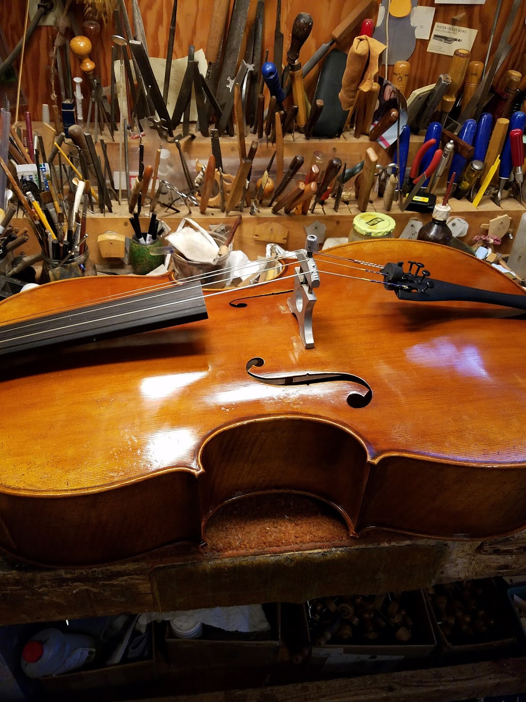 Anderson Violins | 210 Yale Ave, Swarthmore, PA 19081, USA | Phone: (610) 328-6448