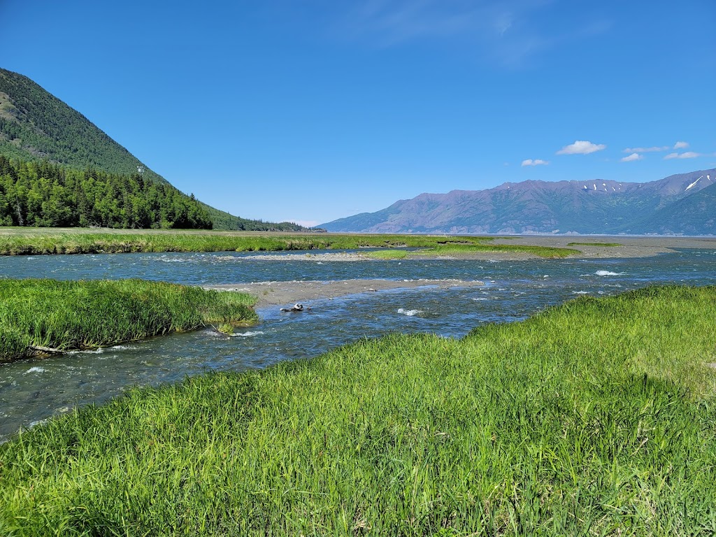 Seaview Cabins, Campground, and RV Park | 64959 Main St, Hope, AK 99605, USA | Phone: (907) 782-3300