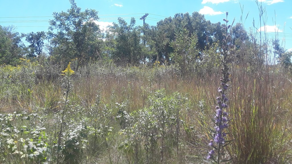 Seminary Fen Scientific and Natural Area (SNA) | Pioneer Trail, Chaska, MN 55318, USA | Phone: (651) 259-5800