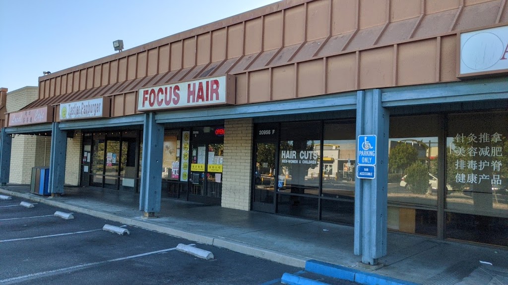 Focus Hair | 20956 W Homestead Rd Suite F, Cupertino, CA 95014, USA | Phone: (408) 446-4247