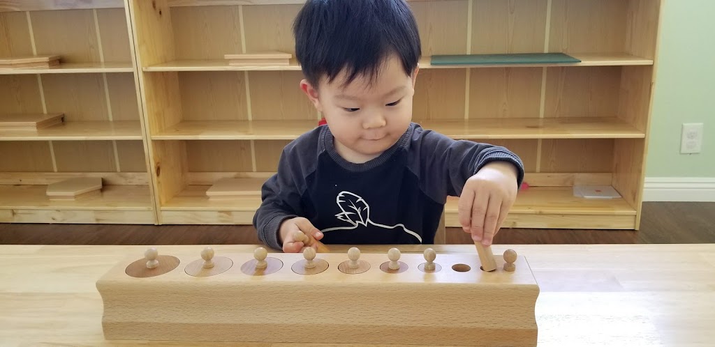 Hooray Montessori Preschool 欢乐蒙特梭利幼儿园 | 136 S Bandy Ave, West Covina, CA 91790, USA | Phone: (626) 833-3729