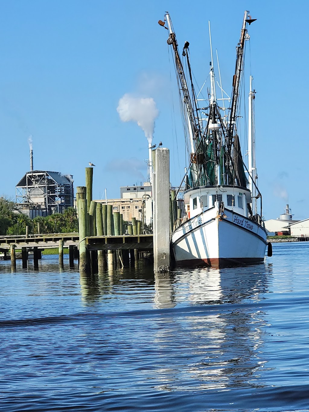 Backwater Cat Adventure | 3 S Front St, Fernandina Beach, FL 32034, USA | Phone: (904) 753-7631