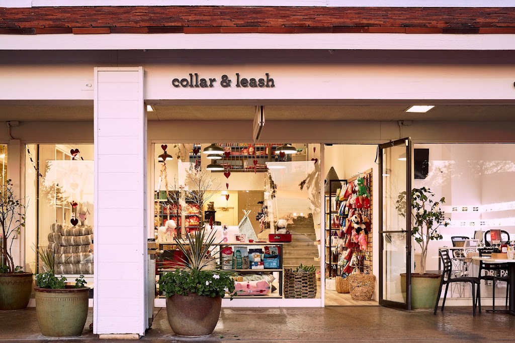 Collar and Leash Bel-Air | 2942 Beverly Glen Cir, Los Angeles, CA 90077, USA | Phone: (424) 325-3100