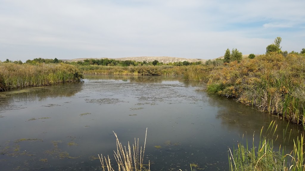 Payette River Wildlife Management Area | 4660 NW 2nd Ave, New Plymouth, ID 83655, USA | Phone: (208) 465-8465