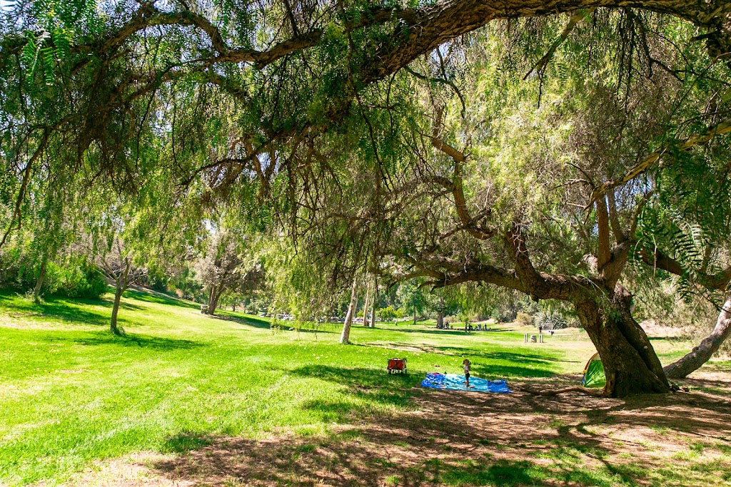 Little Macacos Forest School | Elysian Park, Los Angeles, CA 90012, USA | Phone: (323) 558-2553