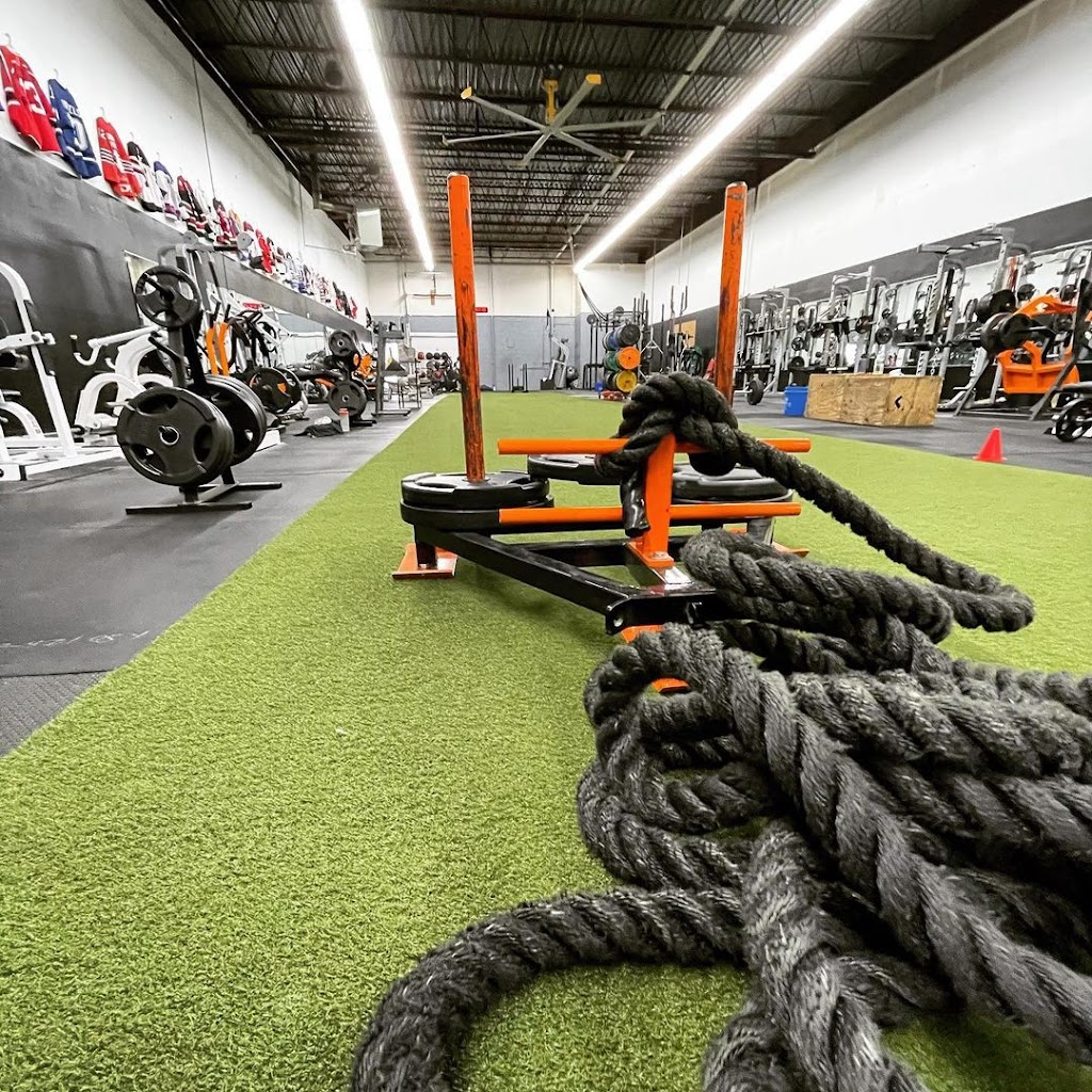 APEX Personal Training | 830 Decatur Ave N, Golden Valley, MN 55427, USA | Phone: (612) 405-3002