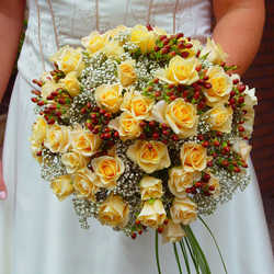 Bunches Direct USA | 2946 NW 72nd Ave, Miami, FL 33122, USA | Phone: (866) 690-8425 Bunches Direct USA | 2946 NW 72nd Ave, Miami, FL 33122, USA | Phone: (866) 690-8425