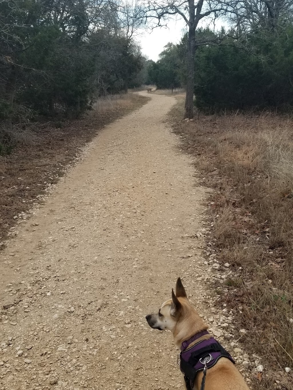 Texas Parks and Wildlife ACP | 1340 Airport Commerce Dr, Austin, TX 78741, USA | Phone: (512) 389-8224