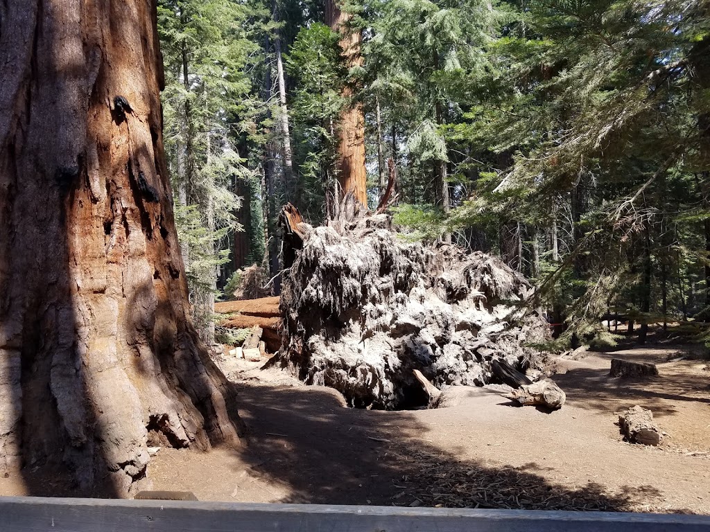 Sequoia National Forest | 1839 South Newcomb Street, Porterville, CA 93257, USA | Phone: (760) 379-5646