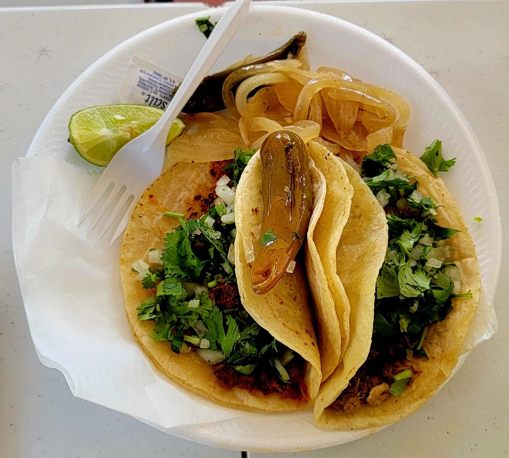Tacos Gone Mobile | 13605 N 20th St, Tampa, FL 33613, USA | Phone: (813) 458-2679