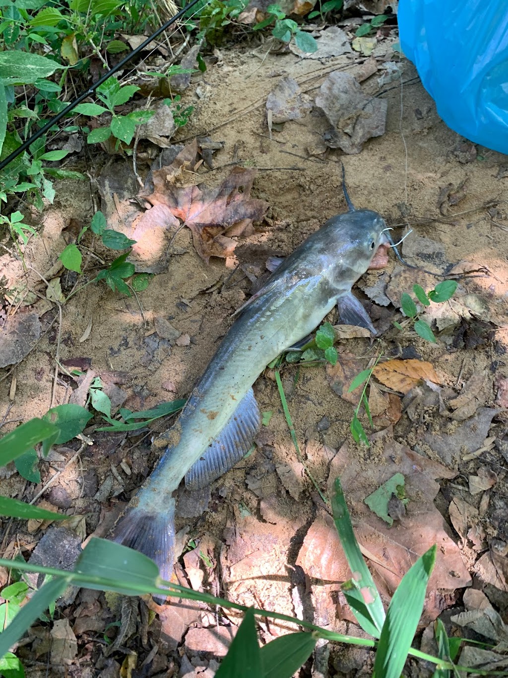 Town of Cramerton SFV Fishing Pier and River Access | Belmont, NC 28012, USA | Phone: (704) 824-4231