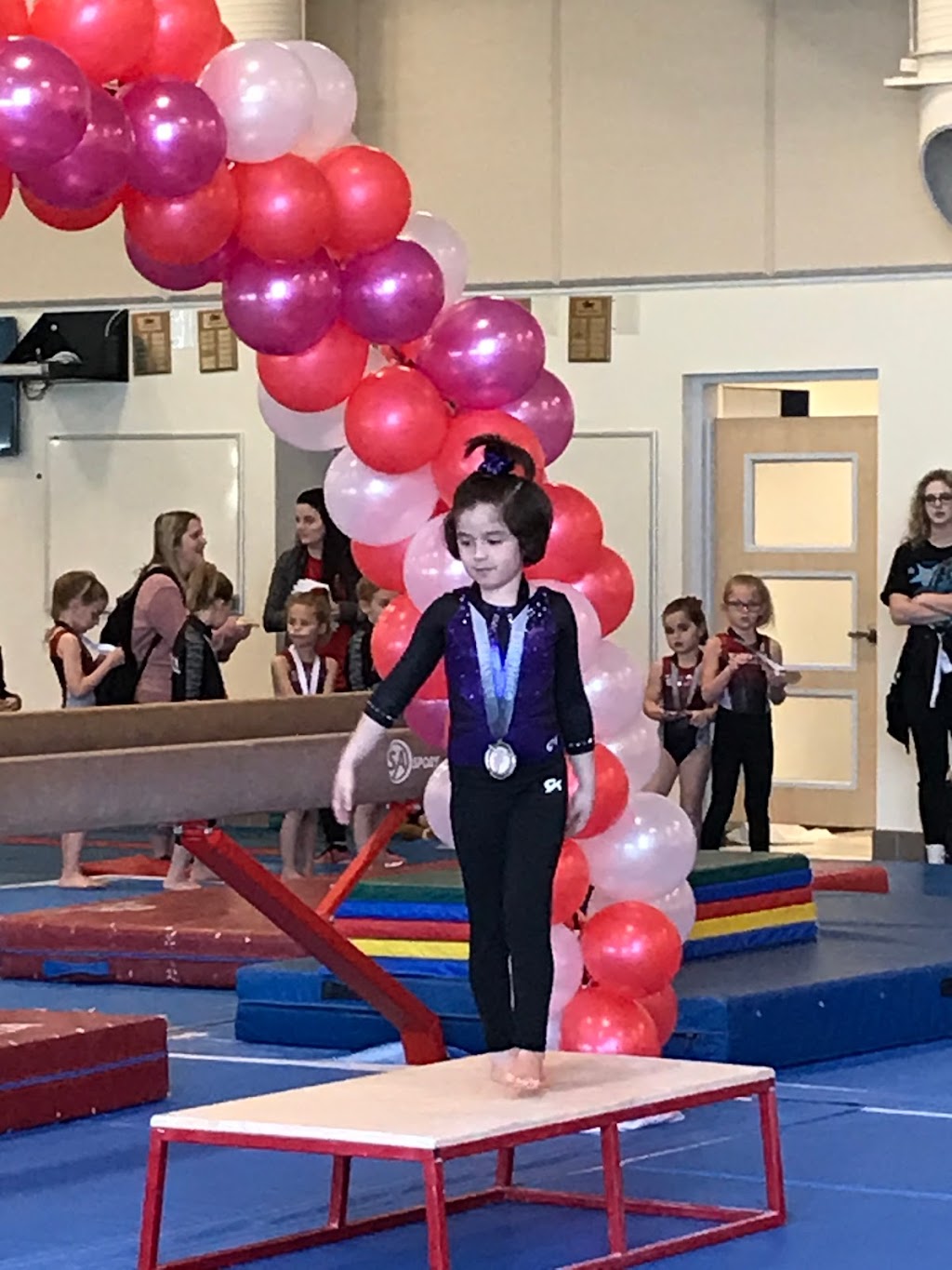 Richardson Gymnastics Center | 300 E Arapaho Rd, Richardson, TX 75081, USA | Phone: (972) 744-7860