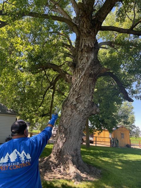 Mountain West Pest Service | 2210 Andy Pl, Nampa, ID 83651, USA | Phone: (208) 724-9462