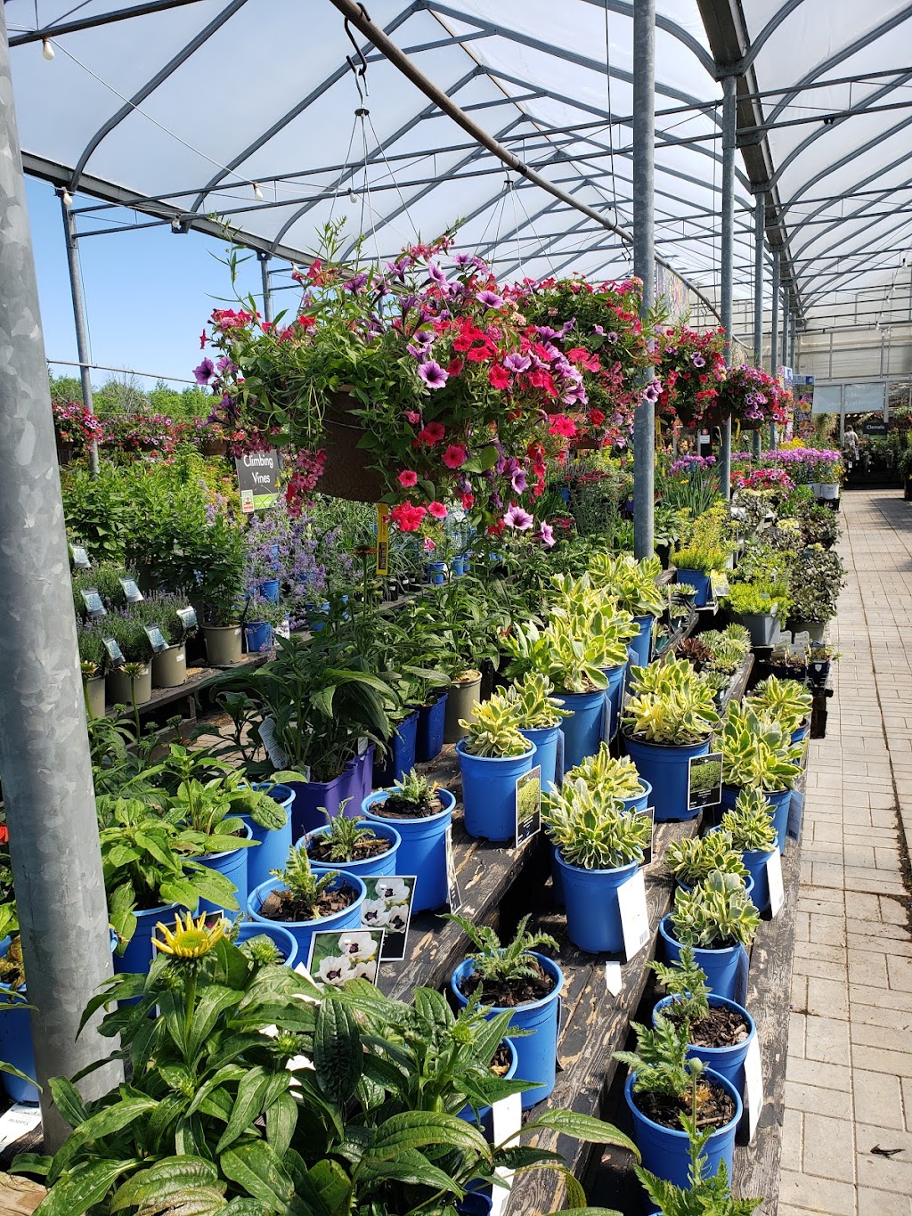 Country Basket Garden Centre | 10008 Lundys Ln, Niagara Falls, ON L2H 0T6, Canada | Phone: (905) 358-5811