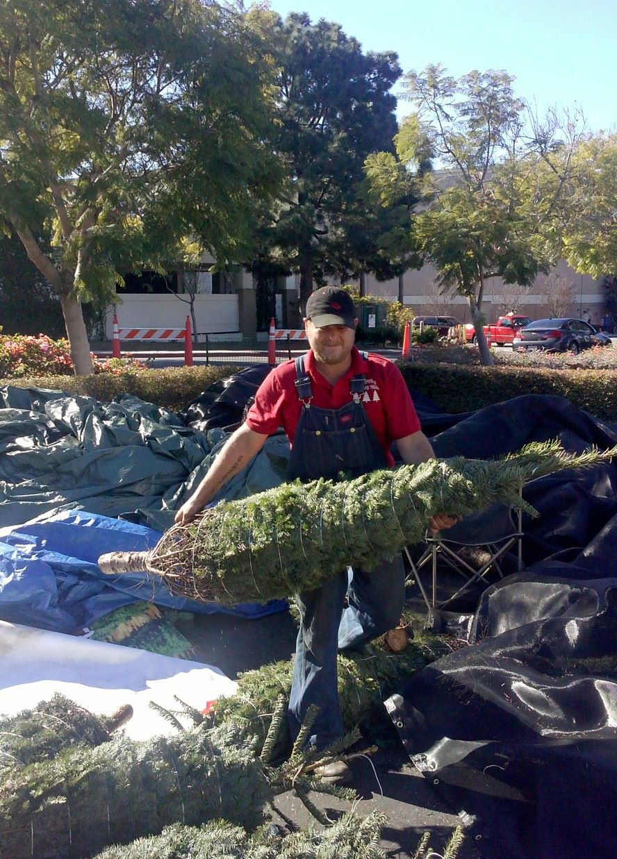 Winter springs christmas trees | 3295 Grand Ave, Chino Hills, CA 91709, USA | Phone: (503) 339-5410