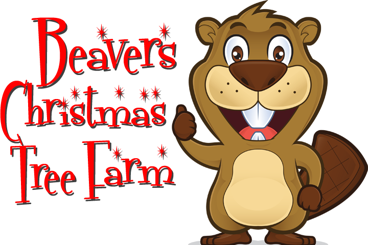 Beavers Christmas Tree Farm | 10093 Bradford Trafford Rd, Trafford, AL 35172, USA | Phone: (205) 681-4494