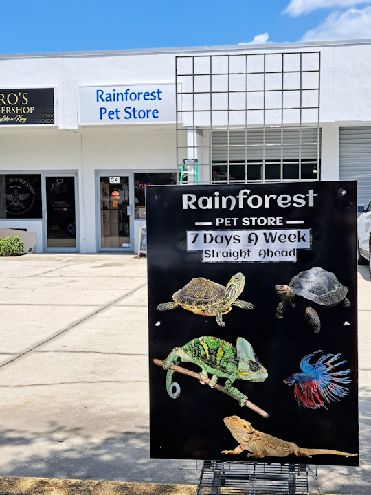 Rainforest Pet Store | 2885 Electronics Dr c4, Melbourne, FL 32935, USA | Phone: (321) 745-9987