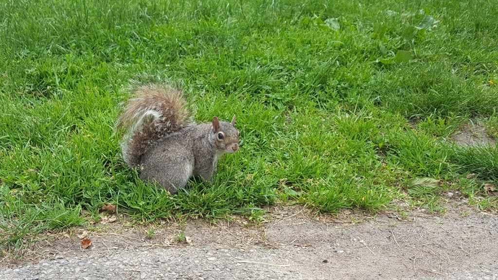The New York Lawn Bowling Club | West Drive within, Central Park, New York, NY 10019, USA | Phone: (917) 693-2998