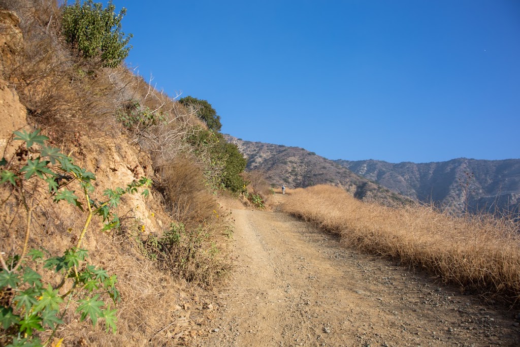 Mt Bliss: Van Tassel Trailhead | 3700 Fish Canyon Rd, Duarte, CA 91010, USA | Phone: (800) 834-0064