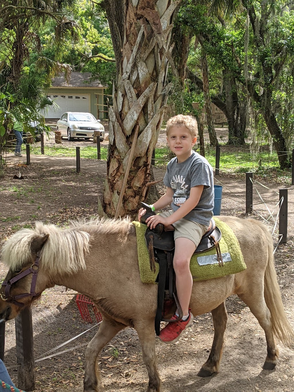 HorsePower for Kids & Animal Sanctuary | 8005 Racetrack Rd, Tampa, FL 33635, USA | Phone: (813) 855-8992