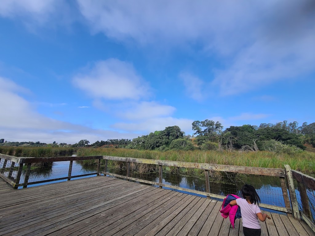 Pinto Lake County Park | 757 Green Valley Rd, Watsonville, CA 95076, USA | Phone: (831) 728-6194