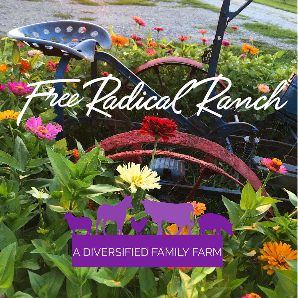 Free Radical Ranch | 15299 Parkers Grove Rd, Morning View, KY 41063, USA | Phone: (859) 462-2344