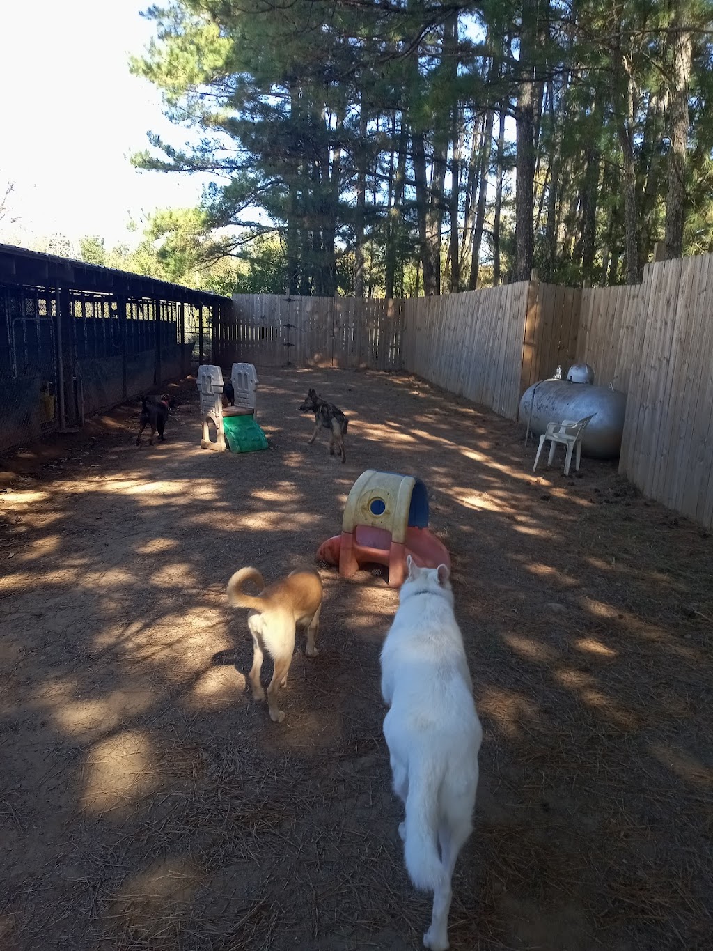 Kritters Country Lane Kennels | 7689 Lambert Rd, Winston, GA 30187, USA | Phone: (770) 577-4040