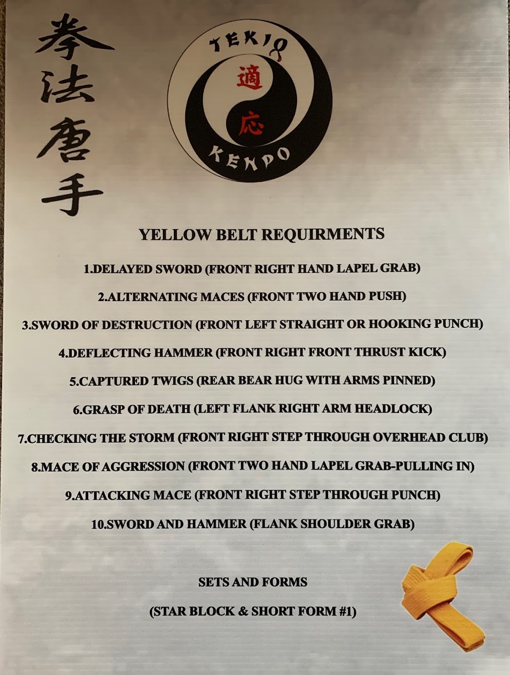 Tekio Kenpo Academy | 20642 Matteson Ave, Matteson, IL 60443, USA | Phone: (708) 505-9480