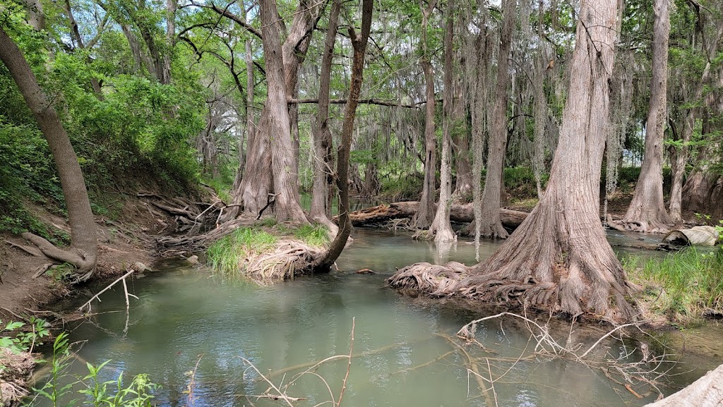 Castroville Regional Park | 816 Alsace Ave, Castroville, TX 78009, USA | Phone: (830) 931-4070