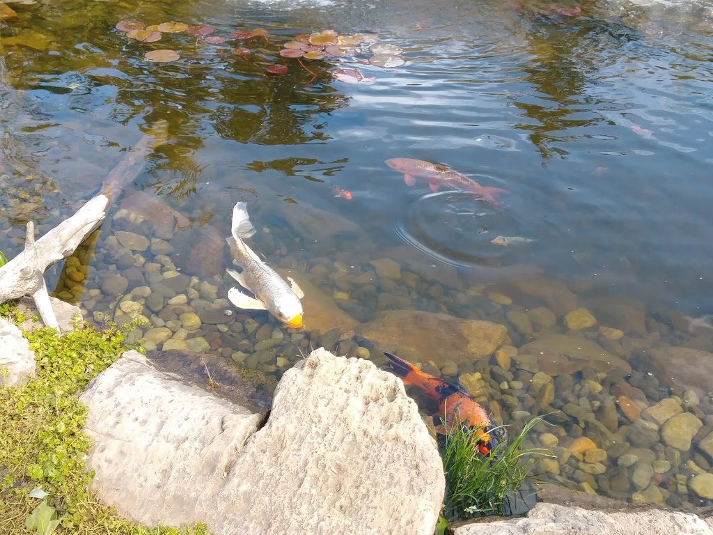 Pond Country | 8401 Endicott Rd, Colfax, NC 27235, USA | Phone: (336) 782-0339