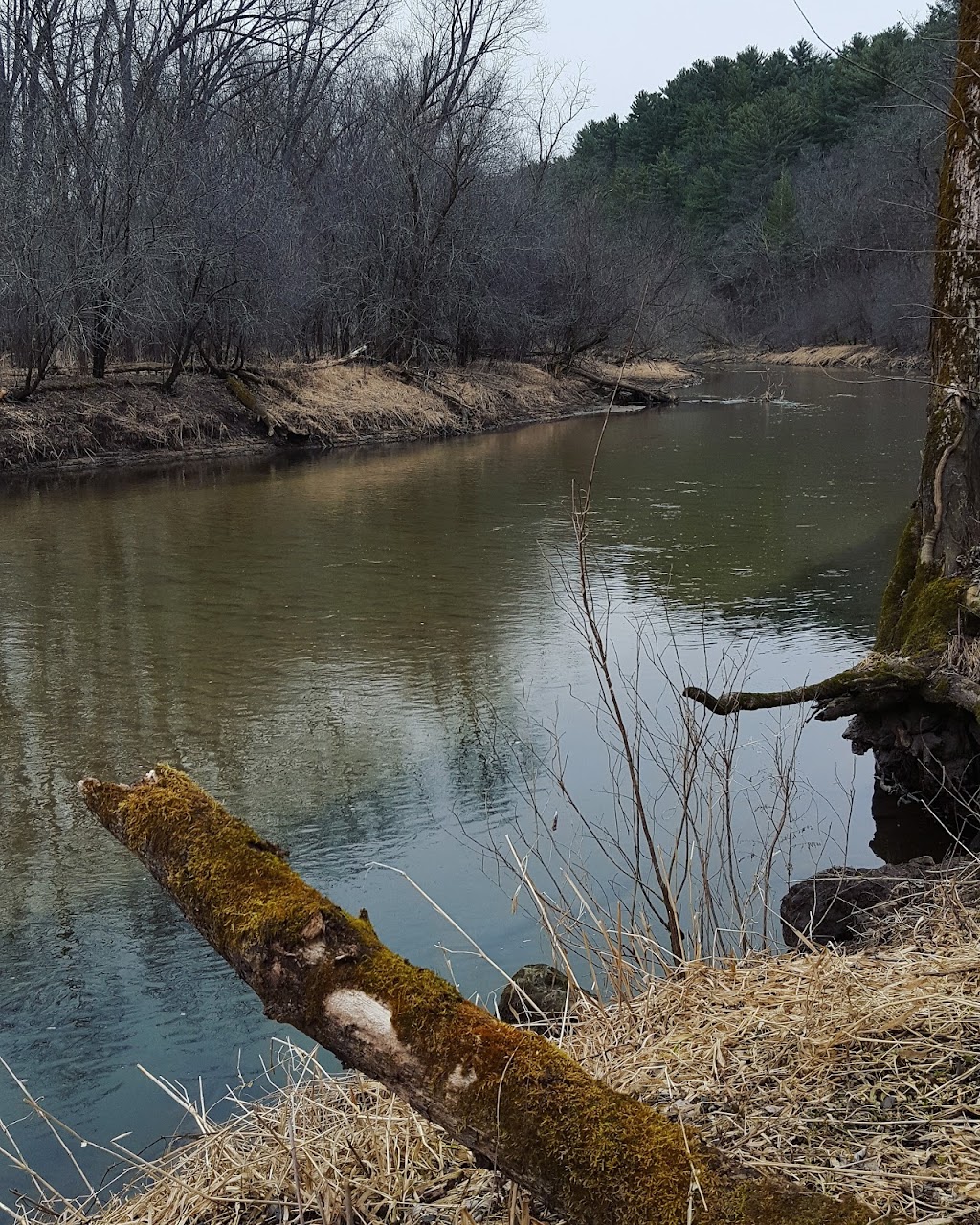 Kinnickinnic River Gorge & Delta State Natural Area | River Falls, WI 54022, USA | Phone: (715) 425-1129