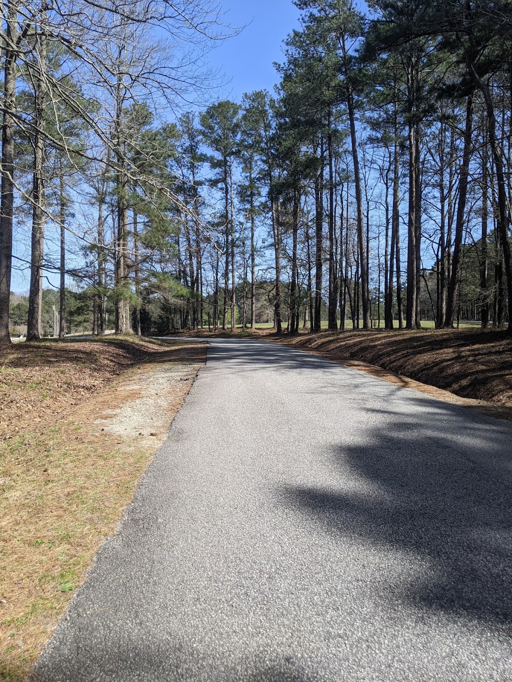 McCurry Park Picnic Area & Walking Trails | 180 McDonough Rd, Fayetteville, GA 30214, USA | Phone: (770) 716-4320