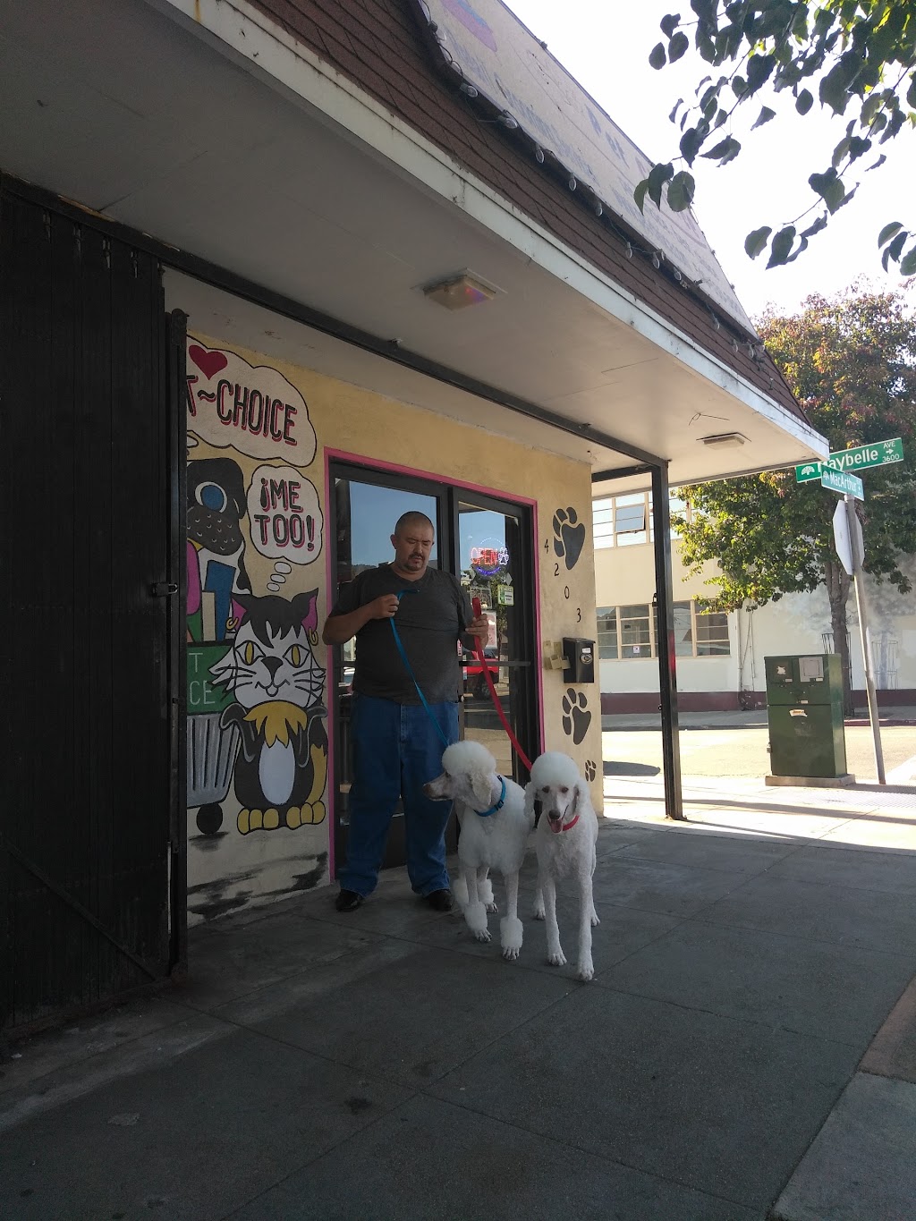Pet Choice | 4203 MacArthur Blvd, Oakland, CA 94619, USA | Phone: (510) 530-3888