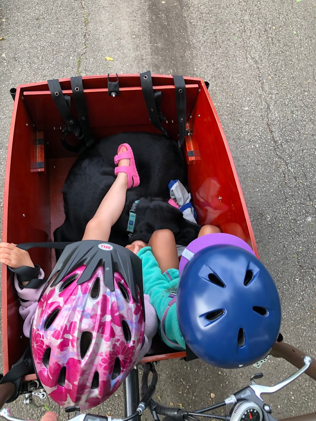 Bunch Bikes - Family Cargo Bikes | 4408 Worthington Dr Ste 108, Denton, TX 76207, USA | Phone: (940) 536-0597