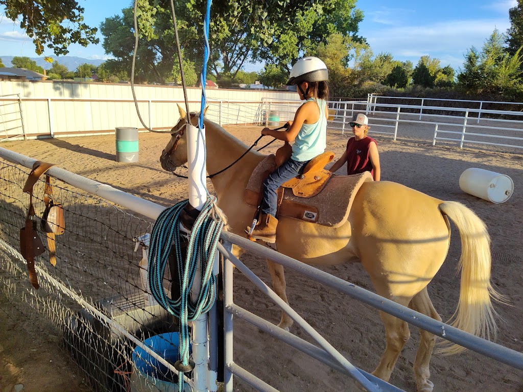 Serenity Stables | 26 Otero Rd, Los Lunas, NM 87031, USA | Phone: (505) 410-1619