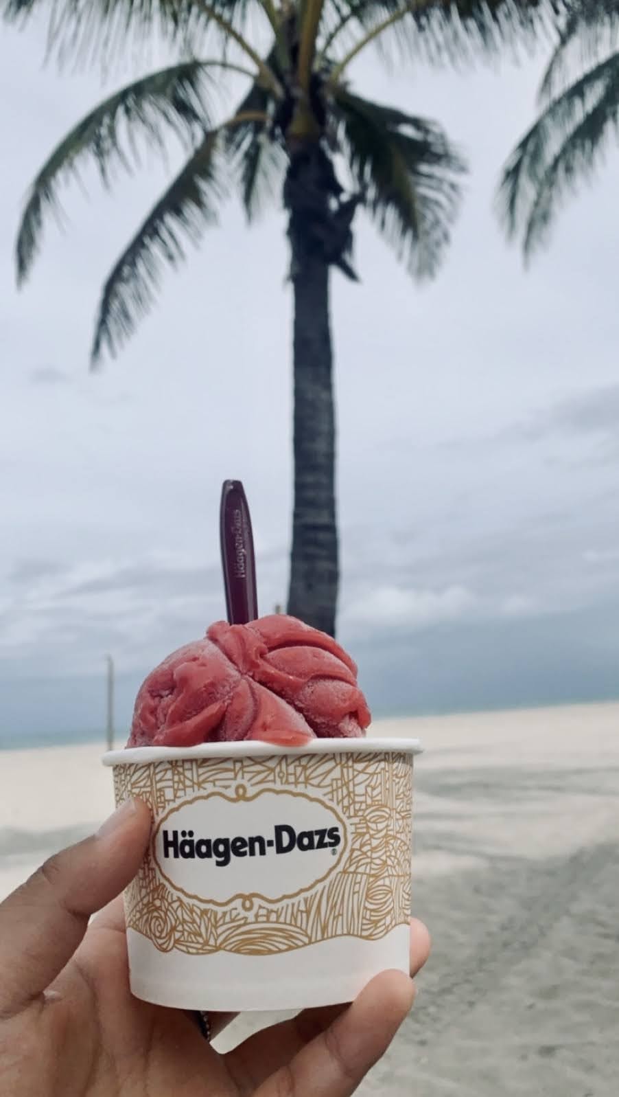Häagen-Dazs Ice Cream Shop | 17 S Atlantic Blvd R120, Fort Lauderdale, FL 33316, USA | Phone: (954) 522-5336