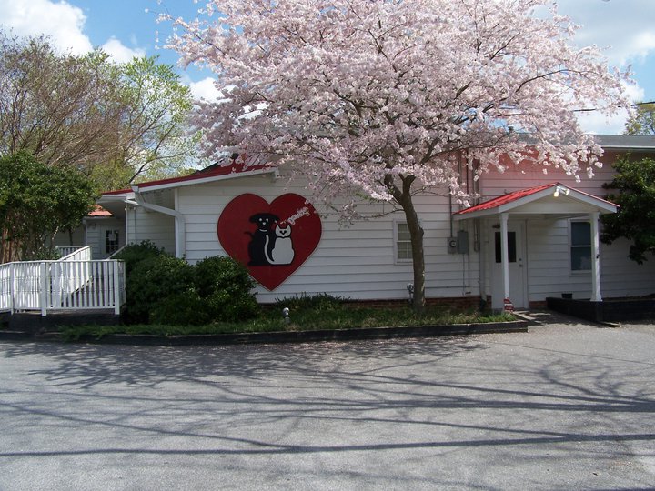 West Marietta Veterinary Clinic | 2985 Powder Springs Rd SW, Marietta, GA 30064, USA | Phone: (770) 439-1994
