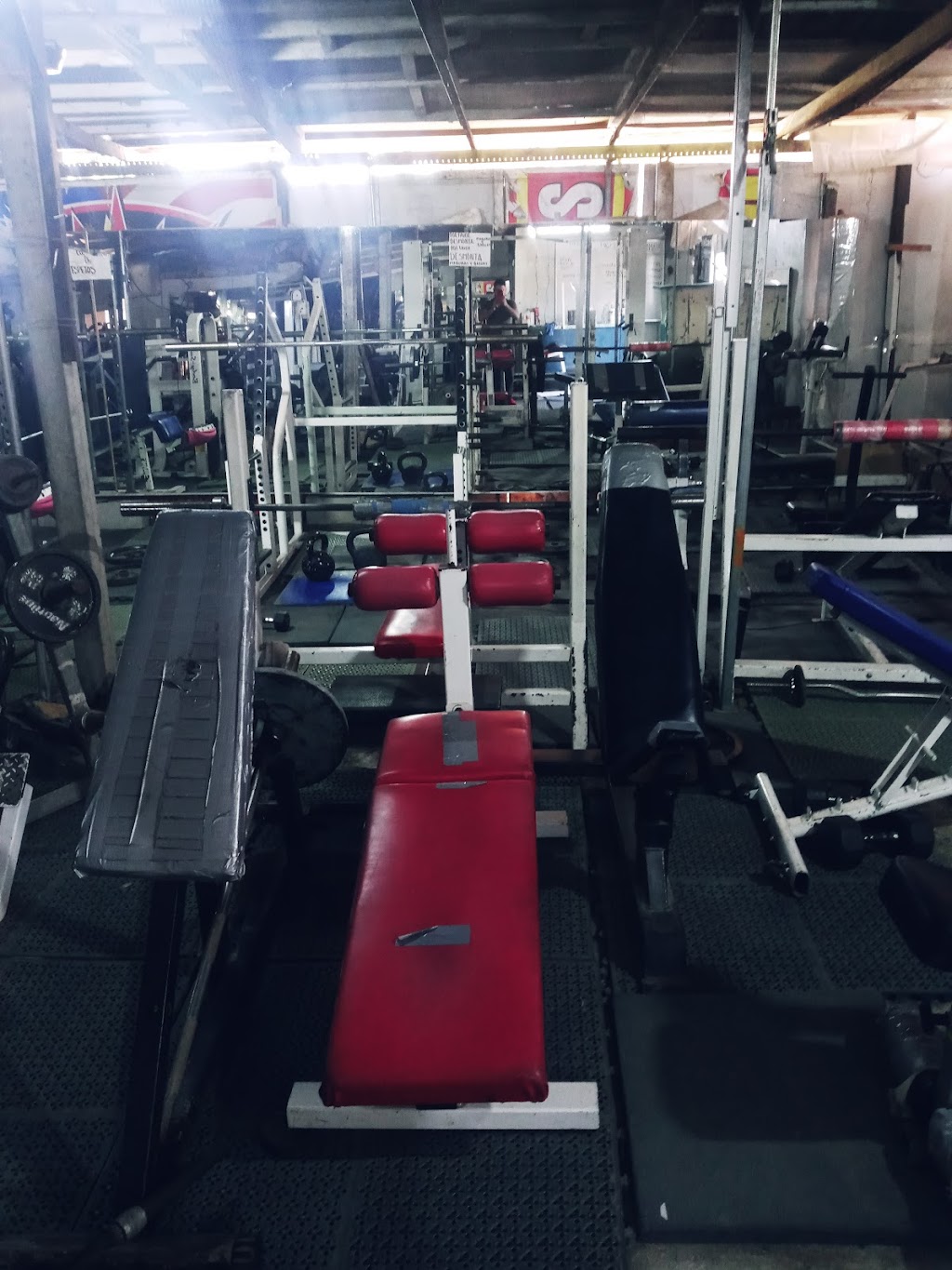 Edzu GYM & Fitness | 22330 Tijuana, Baja California, Mexico | Phone: 664 367 4559