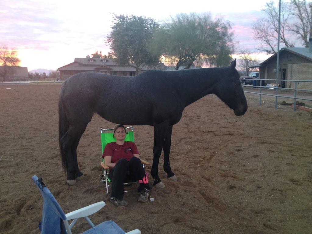 Skye Therapy Solutions | S Lindsay Rd &, E Elliot Rd, Gilbert, AZ 85234, USA | Phone: (480) 297-8232 Skye Therapy Solutions | S Lindsay Rd &, E Elliot Rd, Gilbert, AZ 85234, USA | Phone: (480) 297-8232