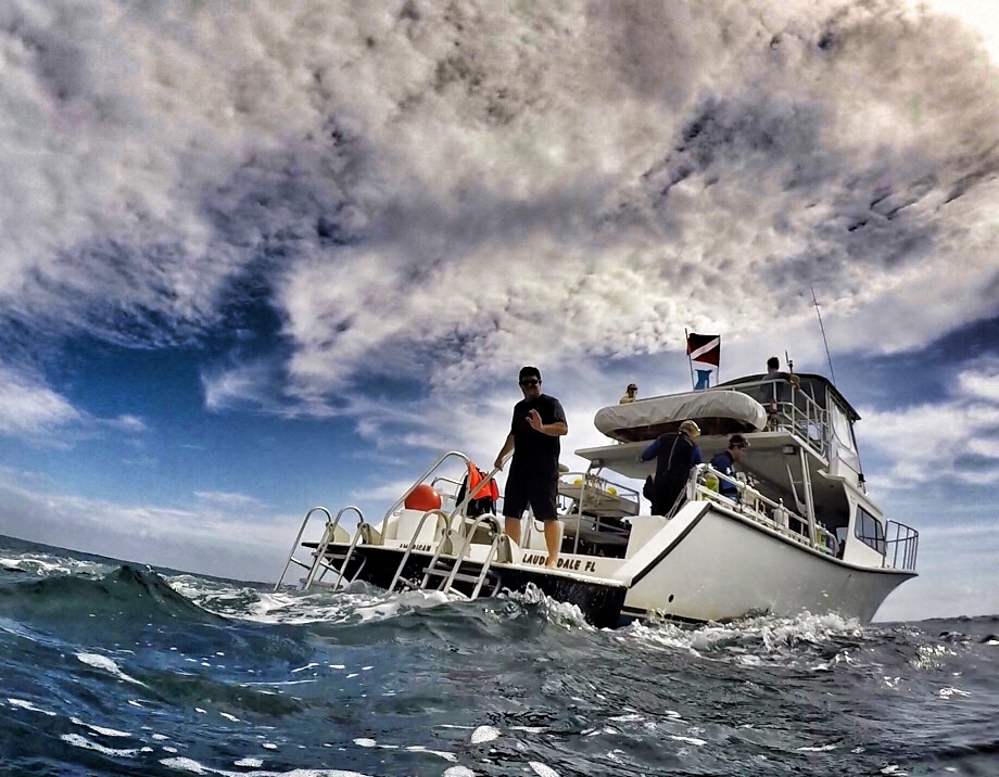 American Dream Dive Charters | 88 Portside Dr, Fort Lauderdale, FL 33316, USA | Phone: (954) 577-0338