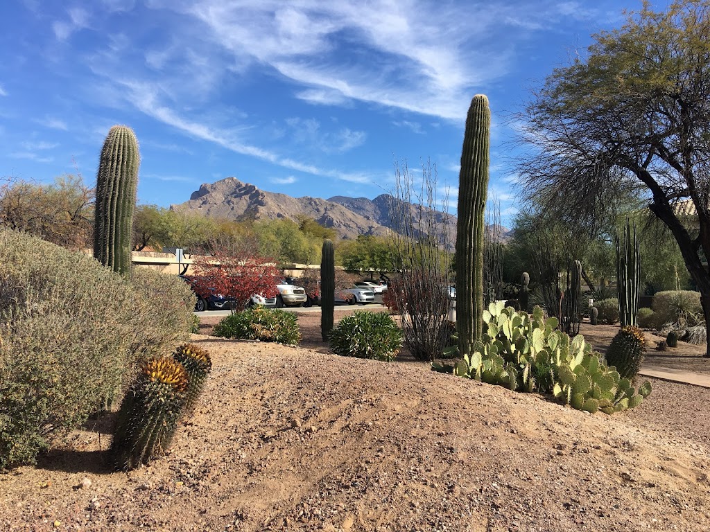 Mountain View Retirement Village | 7900 N La Cañada Dr, Tucson, AZ 85704, USA | Phone: (520) 447-4268