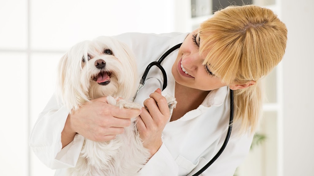 Main Veterinary Pc | 711 N Main St, Adrian, MI 49221, USA | Phone: (517) 265-5409